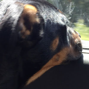 Meet your Posher, Cate